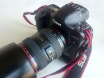 Canon 1Ds Mk2 - Dinosaur from 2005